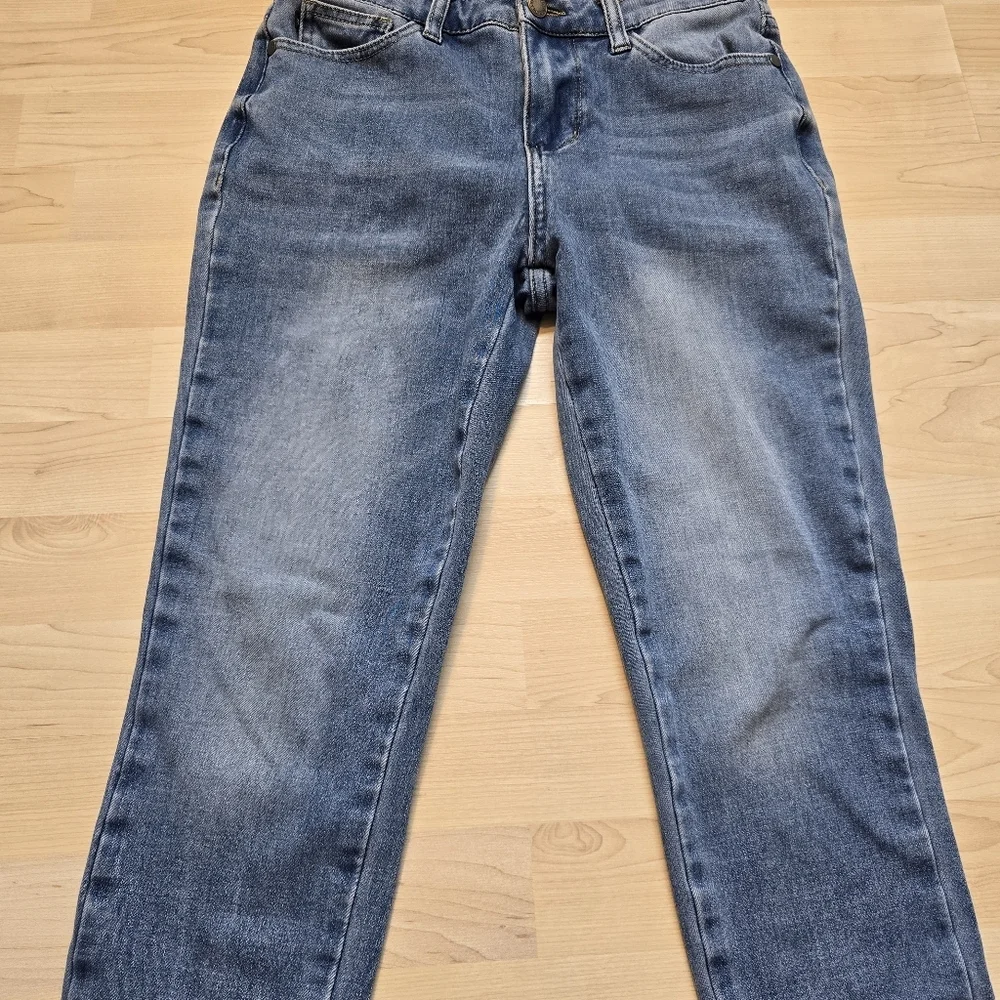 Judy Blue Skinny Fit Size 3/26